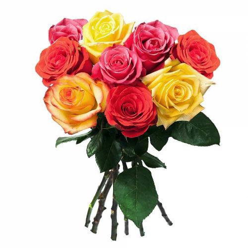 Заказать с доставкой 9 разноцветных роз по Кирово-Чепецку